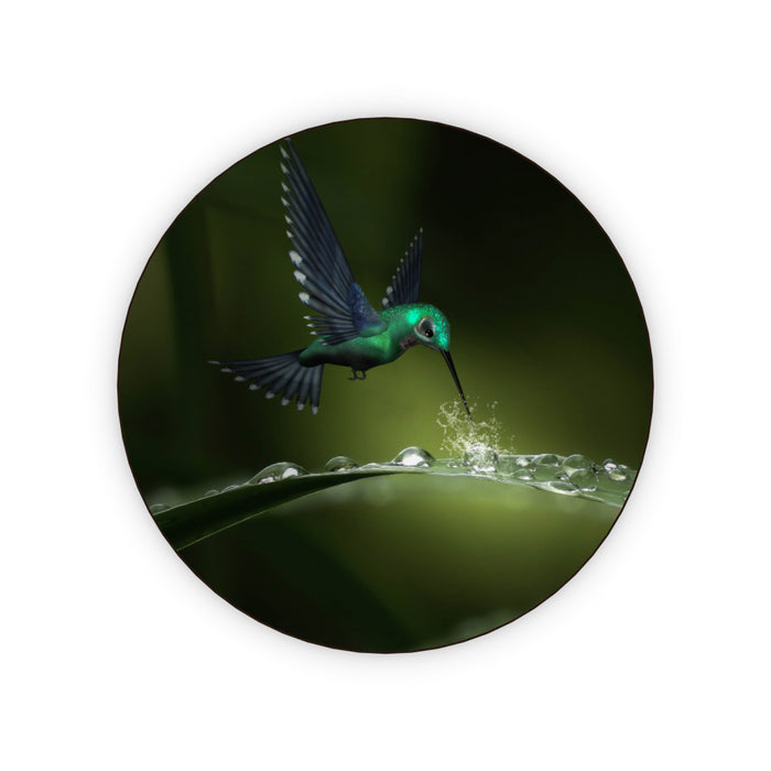 Coasters - Hummingbird Feeding - printonitshop