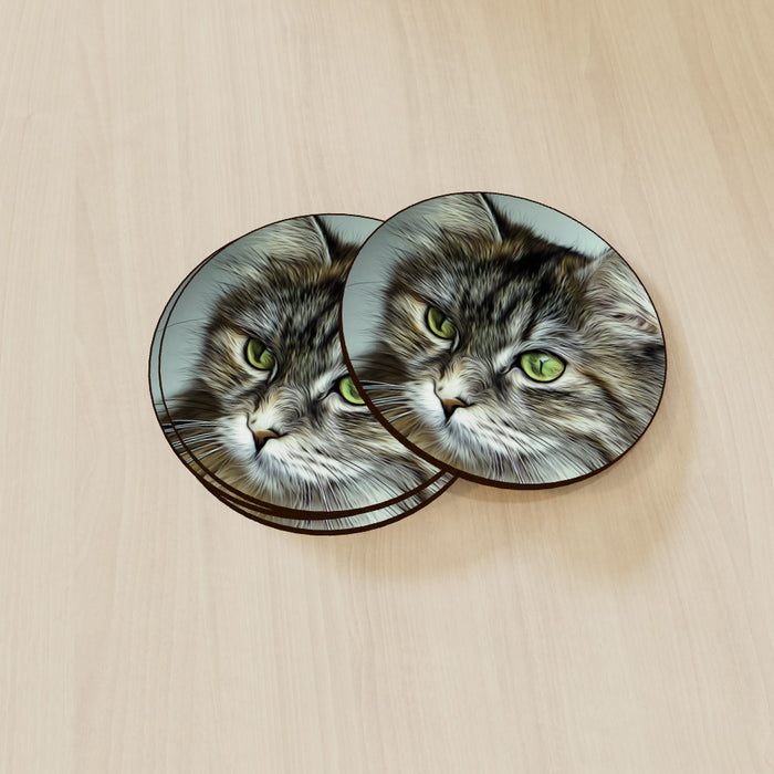 Coasters - Digital Kitten - printonitshop