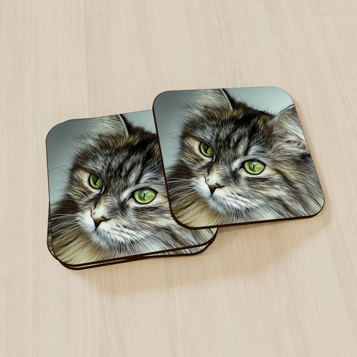 Coasters - Digital Kitten - printonitshop