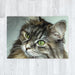 Blanket - Digital Kitten - printonitshop
