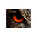 Placemat - Owl Eye - printonitshop
