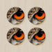 Coasters - Owl Eye - printonitshop
