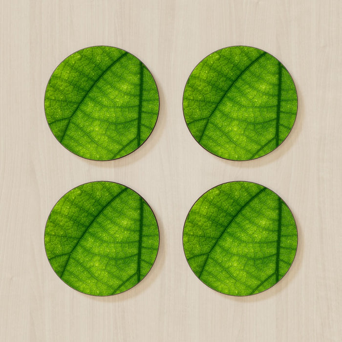 Coasters - Green Leaf - printonitshop
