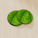Coasters - Green Leaf - printonitshop
