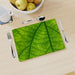 Placemat - Green Leaf - printonitshop