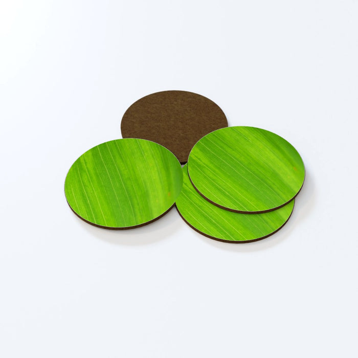 Coasters - Green Linear - printonitshop