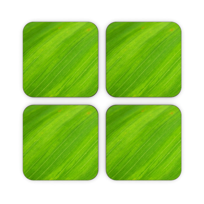 Coasters - Green Linear - printonitshop