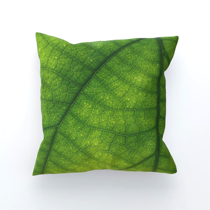 Cushions - Green Leaf - printonitshop