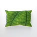 Cushions - Green Leaf - printonitshop