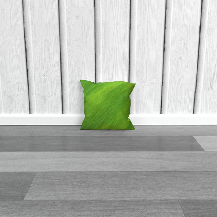 Cushions - Green Linear - printonitshop