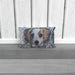 Cushions - Puppy Love - CJ Designs - printonitshop