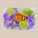 Tea Towel - Watercolour Butterfly - printonitshop