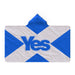 Hooded Blanket - Scotland Yes - printonitshop